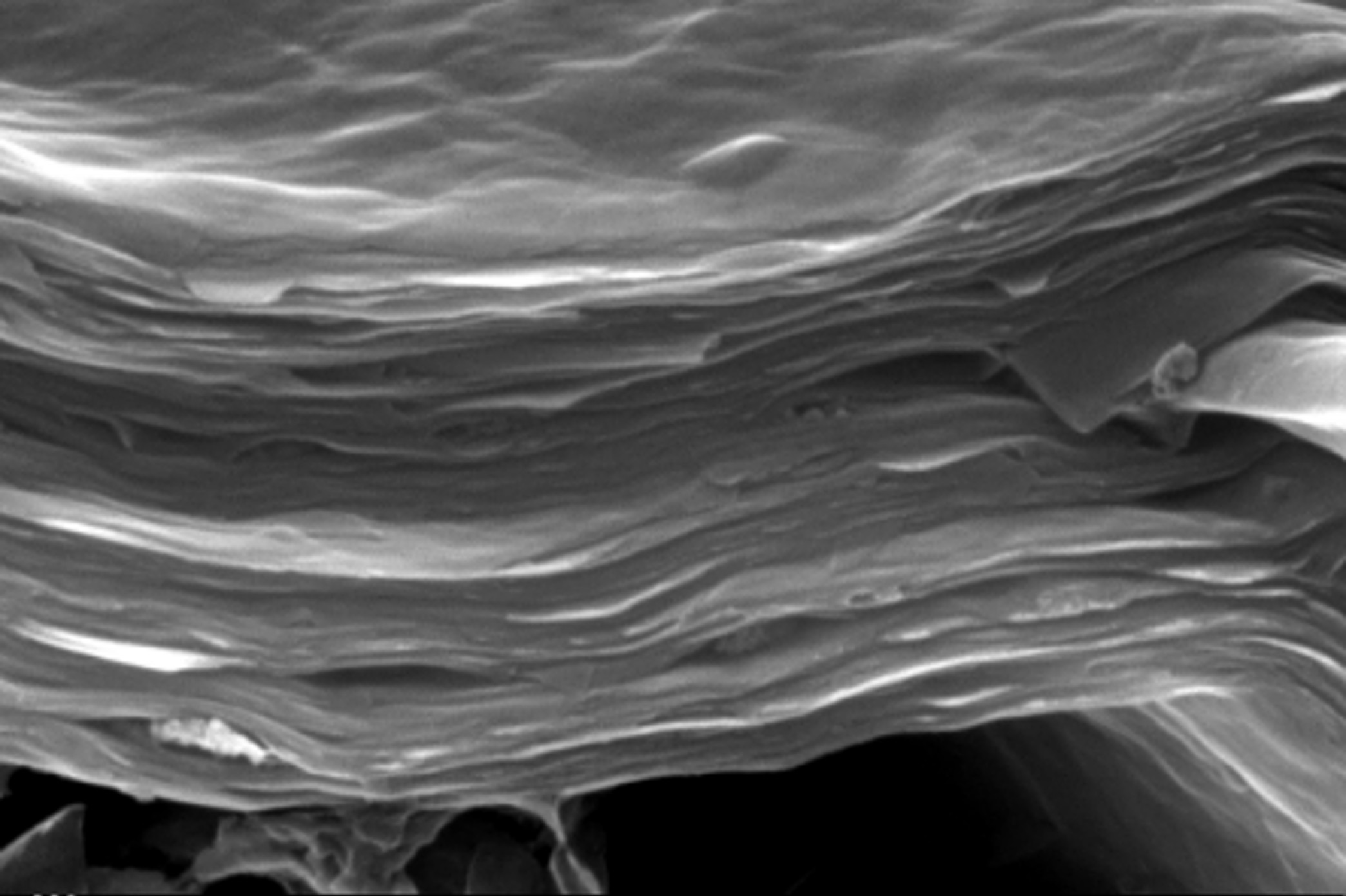 Clay Membrane Separation and Catalytic Degradation